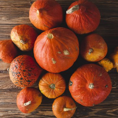 ahşap yüzeyde taze toplanmış kagılar 