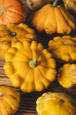 ahşap yüzeyde taze toplanmış kagılar 