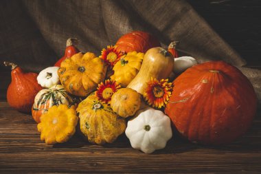 ahşap yüzeyde taze toplanmış kagılar 