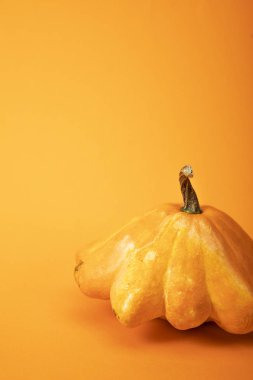 parlak sarı arka plan taze kanı