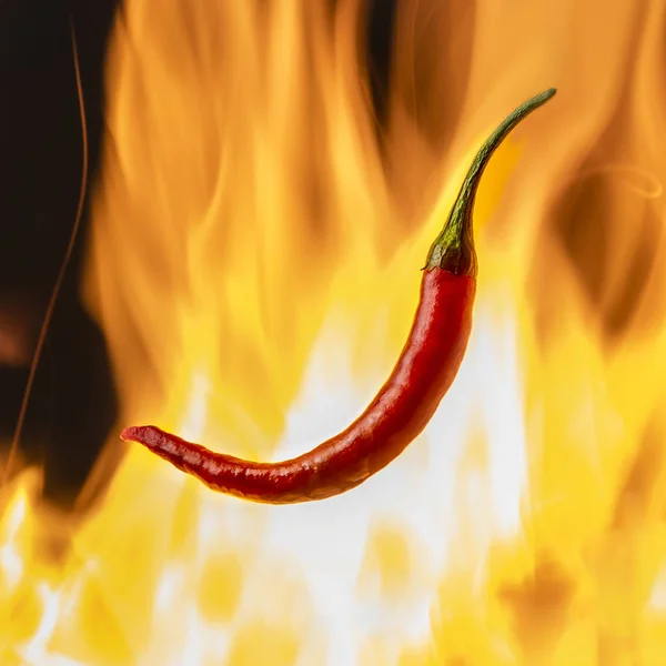 Chile Ardiente Picante Con Fuego —  Fotos de Stock