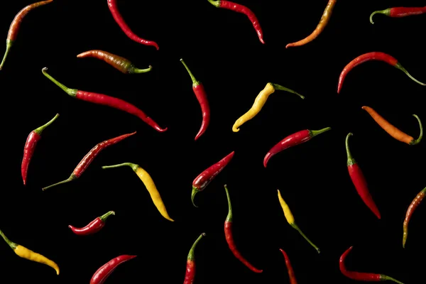 Chiles Frescos Sobre Fondo Negro —  Fotos de Stock