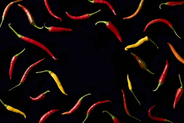 Fresh Chili Peppers Black Background — Stock Photo, Image