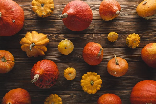 ahşap yüzeyde taze toplanmış kagılar 