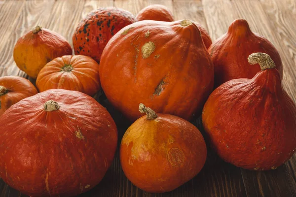 ahşap yüzeyde taze toplanmış kagılar 