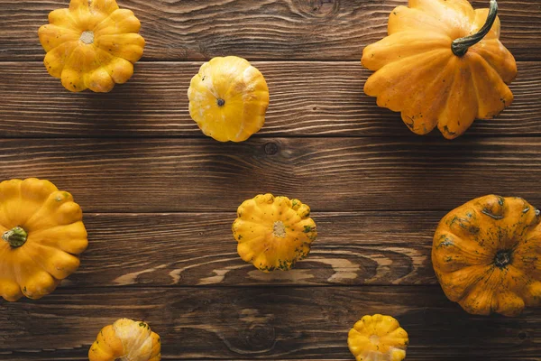 ahşap yüzeyde taze toplanmış kagılar 