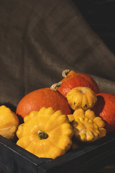 ahşap sandık taze aldı kabaklar