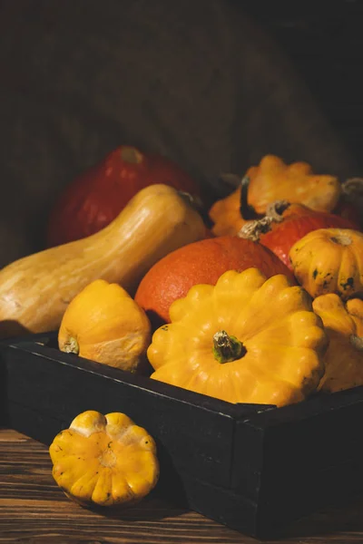 ahşap sandık taze aldı kabaklar