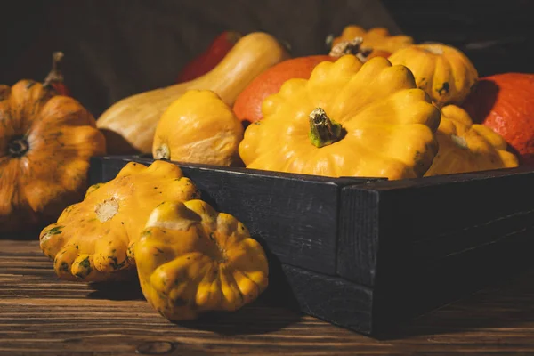 ahşap sandık taze aldı kabaklar