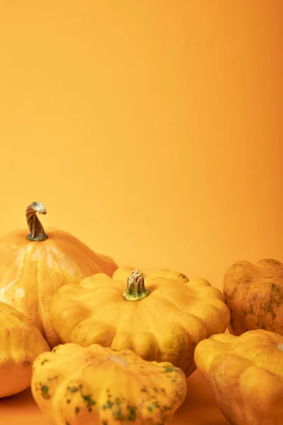 parlak sarı arka plan üzerinde taze kabir