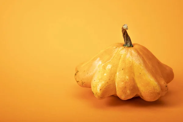 parlak sarı arka plan taze kanı