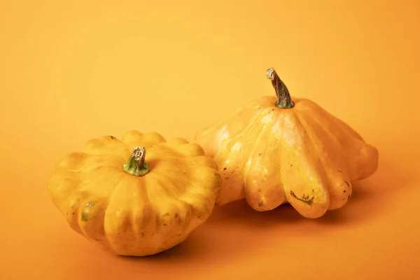 parlak sarı arka plan üzerinde taze kabir