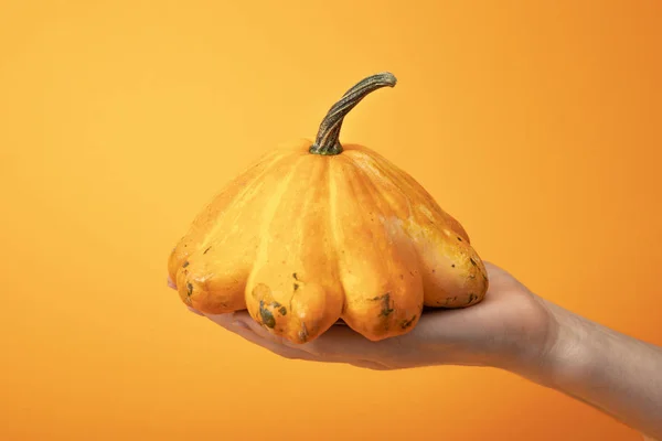 parlak sarı arka plan taze kanı