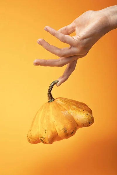 parlak sarı arka plan üzerinde taze kayıç ile el