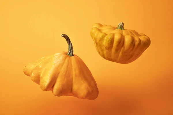 parlak sarı arka plan üzerinde taze kabir