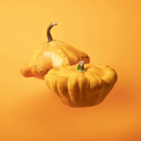 parlak sarı arka plan üzerinde taze kabir