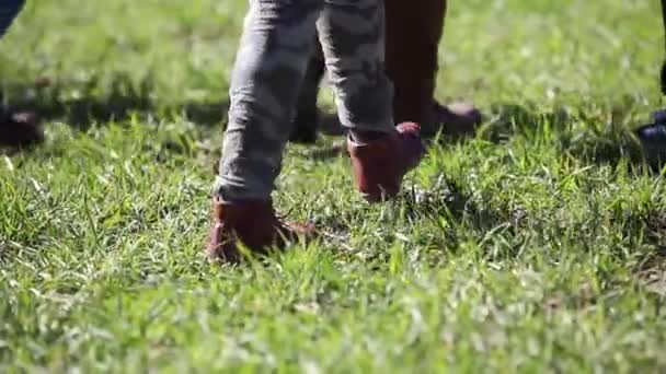 Detalle Gente Piernas Pies Senderismo Naturaleza Sobre Prado Hierba Verde — Vídeo de stock