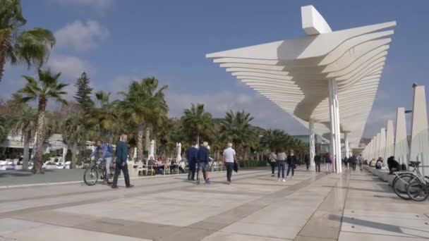 Malaga Spanien Februar 2019 Stadtbild Der Malaga Stadtpromenade Mit Palmen — Stockvideo