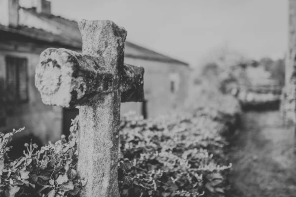 Stone Religious Cross Moss Black White Vintage Pic — Stock Photo, Image