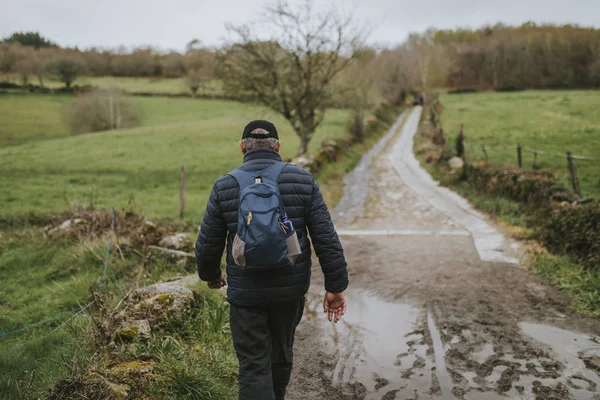 Man Met Een Rugzak Wandelen Een Trekking Route Door Groen — Stockfoto