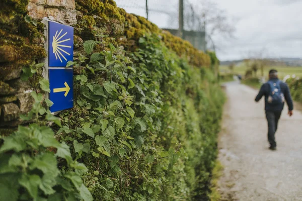 Camino Santiago Schild Mit Pfeil Und Mann Hintergrund Beim Wandern — Stockfoto