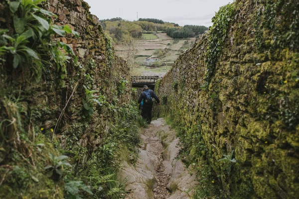 Man Walking Difficult Path Trekking Journey Green Environment — Stock Photo, Image