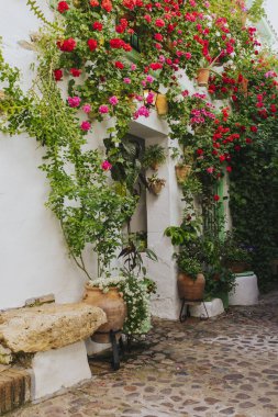 Cordoba mahkemeleri festivalinde bitki ve çiçeklerle dolu sokak duvarı.