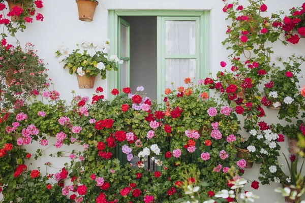 Straßenmauer Voller Pflanzen Und Blumen Beim Hoffest Cordoba — Stockfoto