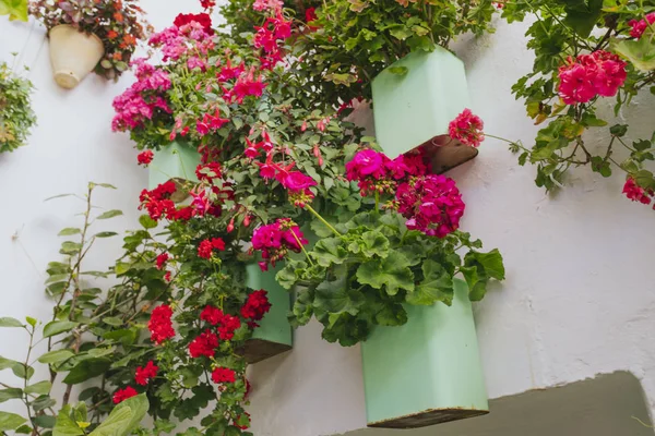 Straßenmauer Voller Pflanzen Und Blumen Beim Hoffest Cordoba — Stockfoto