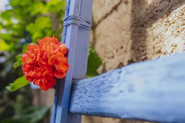 Mavi merdivende kırmızı sardunya çiçeğinin yakınçekim