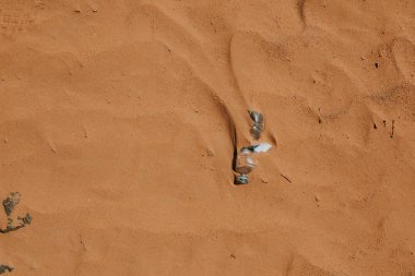 Plastik su şişesi kumda terk edilmiş. Kirlenme.