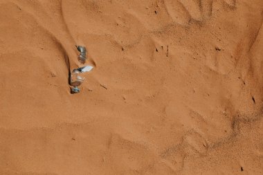 Plastik su şişesi kumda terk edilmiş. Kirlenme.