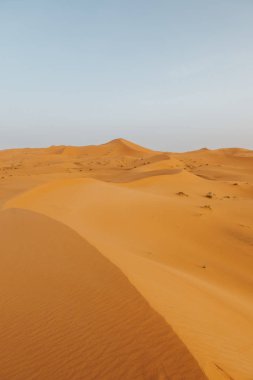 Afrika 'da kum tepeleri ve ufku olan turuncu çöl manzarası.