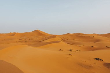 Afrika 'da kum tepeleri ve ufku olan turuncu çöl manzarası.