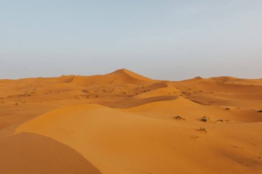 Afrika 'da kum tepeleri ve ufku olan turuncu çöl manzarası.