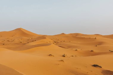 Afrika 'da kum tepeleri ve ufku olan turuncu çöl manzarası.