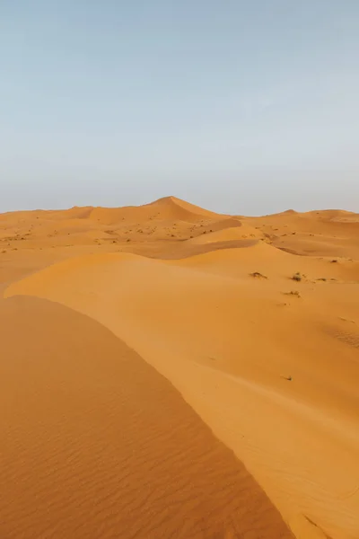Piękny Krajobraz Pomarańczowej Pustyni Afryce Wydmami Horyzontem — Zdjęcie stockowe