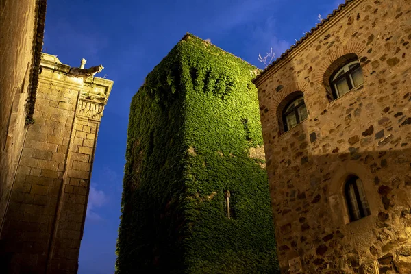 Hermoso Palacio Torre Con Planta Trepadora Ciudad Vieja Cáceres España — Foto de Stock