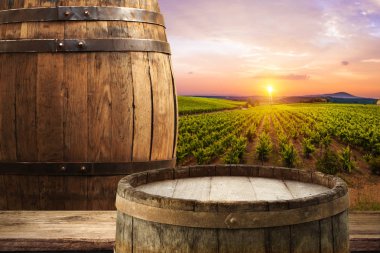 Tuscany, İtalya 'da üzüm bağında kırmızı şarap