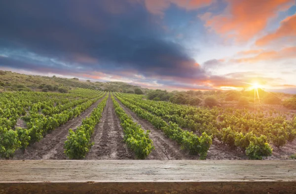 Viñedo Atardecer Región Del Chianti Italia Mesa Madera — Foto de Stock