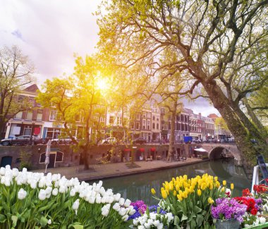 Sonbahar Amsterdam kanalları üzerinde köprüler.