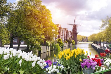 Sonbahar Amsterdam kanalları üzerinde köprüler.