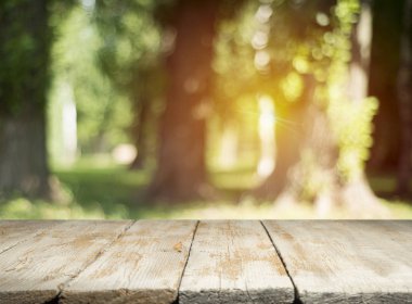 görüntü masası ve Bahçe masa, ahşap