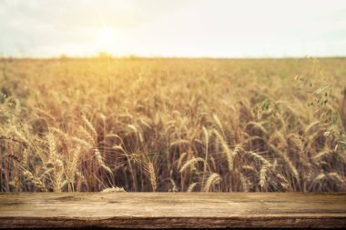 Kırsal kesimde bira fıçısı ve bir bardak bira..
