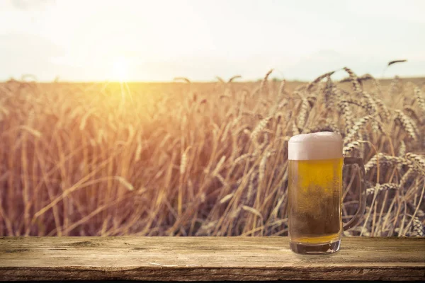 Beer keg with glasses of beer on rural countryside background.