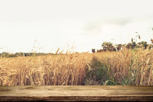 Beer keg with glasses of beer on rural countryside background.