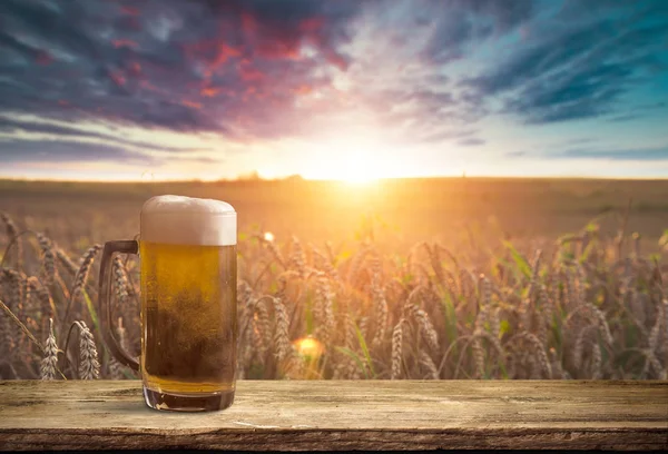 Pivní soudek s sklenicemi piva na venkově — Stock fotografie