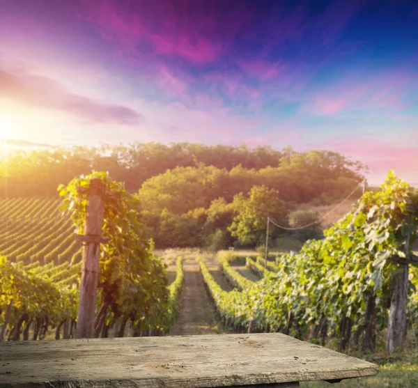 Uvas Vinho Maduras Vinhas Toscana Itália Quinta Vinhos Pitoresca Vinha — Fotografia de Stock