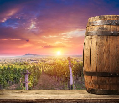 Olgun Şaraplık üzüm Toskana, İtalya üzerinde. Güzel şarap çiftlik, üzüm bağı. Gün batımı ılık ışık