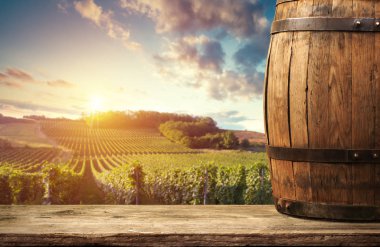 Olgun Şaraplık üzüm Toskana, İtalya üzerinde. Güzel şarap çiftlik, üzüm bağı. Gün batımı ılık ışık